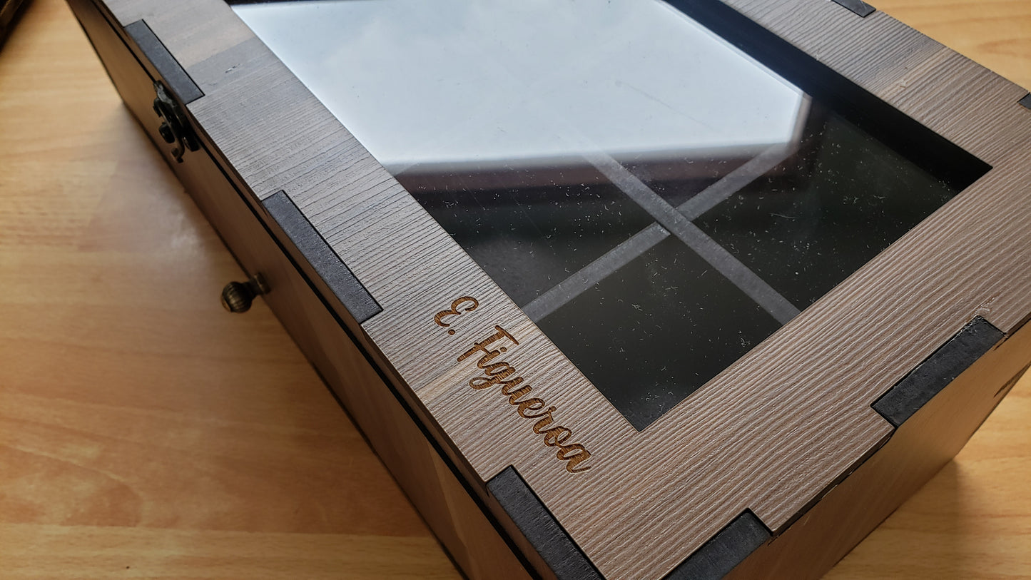 Caja de 12 relojes